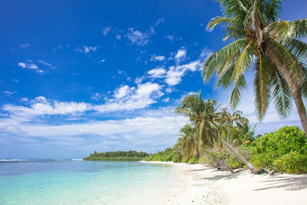 Quels sont les critères pour choisir une maison de vacances en Algarve avec des cours de surf et des visites de vignobles?
